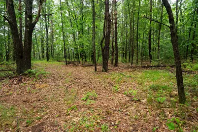 V/L 8.09A N Centerline Road, White Cloud, MI 49349 - Photo 40