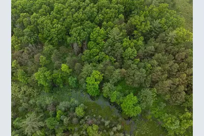V/L 8.09A N Centerline Road, White Cloud, MI 49349 - Photo 4