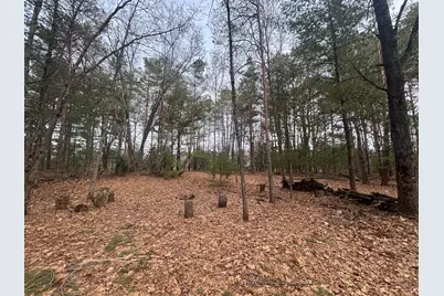 V/L 8.09A N Centerline Road, White Cloud, MI 49349 - Photo 20