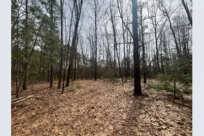 V/L 8.09A N Centerline Road, White Cloud, MI 49349 - Photo 28