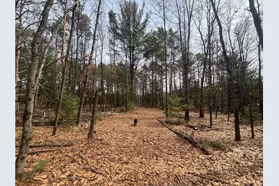 V/L 8.09A N Centerline Road, White Cloud, MI 49349 - Photo 18