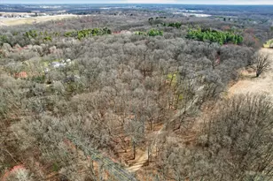 8625 Abbey Rd, Jackson, MI 49201 - Photo 62