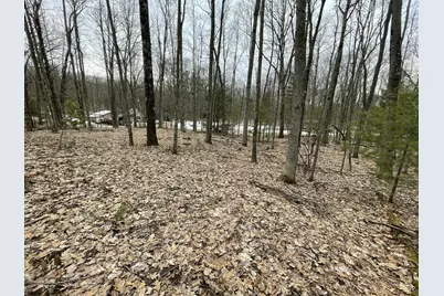 V/L W Deer Track Trail #Parcel A-4, Irons, MI 49644 - Photo 6