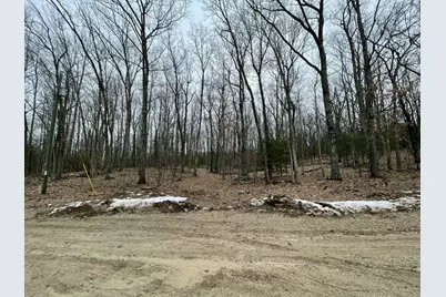V/L W Deer Track Trail #Parcel A-4, Irons, MI 49644 - Photo 2