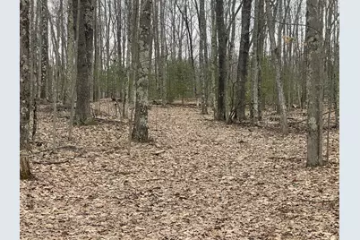 V/L W Deer Track Trail #Parcel A-4, Irons, MI 49644 - Photo 1