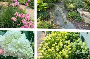 7245 Packer Dr NE, Belmont, MI 49306 - Photo 38