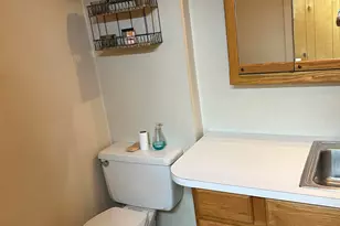 1354 Catalpa Dr, Rochester, MI 48307 - Photo 26