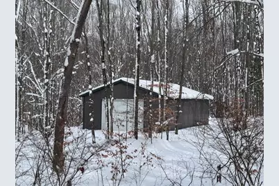 40+/- Acres 48th Street, Chase, MI 49623 - Photo 2