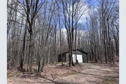40+/- Acres 48th Street, Chase, MI 49623 - Photo 6