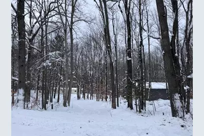 40+/- Acres 48th Street, Chase, MI 49623 - Photo 14