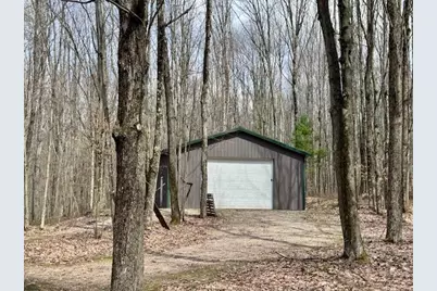40+/- Acres 48th Street, Chase, MI 49623 - Photo 2