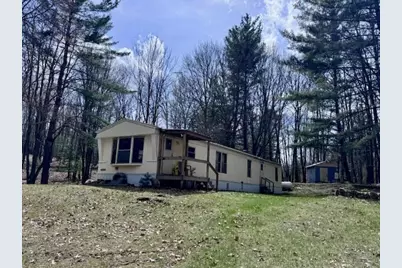 40+/- Acres 48th Street, Chase, MI 49623 - Photo 8