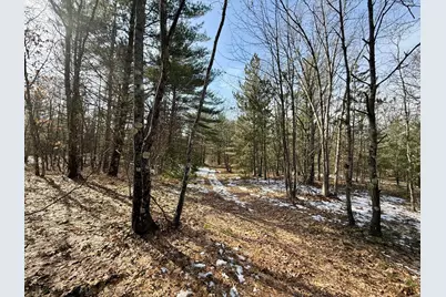 Vl N Merrillville Road, Baldwin, MI 49304 - Photo 8