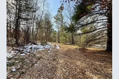 Vl N Merrillville Road, Baldwin, MI 49304 - Photo 4