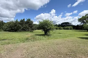 4395 N Raymond Rd, Luther, MI 49656 - Photo 36