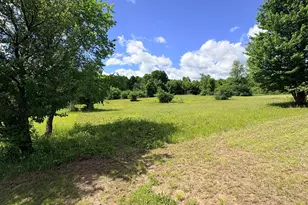 4395 N Raymond Rd, Luther, MI 49656 - Photo 38