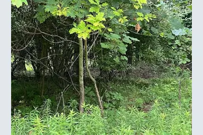 0000 Oak Ridge Hills #7, Marshall, MI 49068 - Photo 6