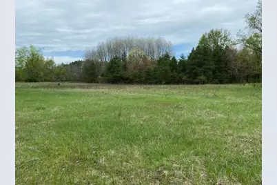 3878 E 2 Mile Road, White Cloud, MI 49349 - Photo 1