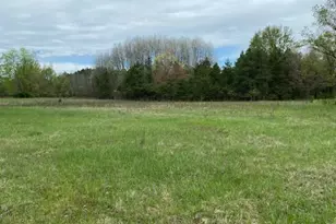 3878 E 2 Mile Rd, White Cloud, MI 49349 - Photo 1