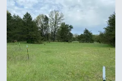 3878 E 2 Mile Road, White Cloud, MI 49349 - Photo 2