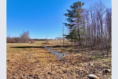 40 Acres 190th Avenue, Leroy, MI 49655 - Photo 8