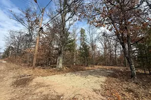 Vl Yale Ave, Baldwin, MI 49304 - Photo 1