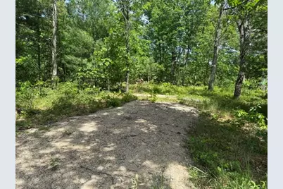 Vl Yale Avenue, Baldwin, MI 49304 - Photo 8