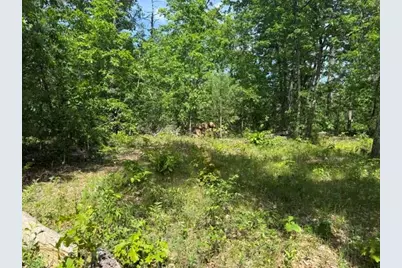 Vl Yale Avenue, Baldwin, MI 49304 - Photo 6