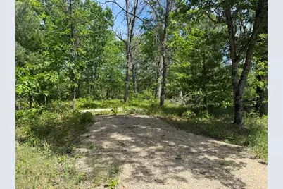 Vl Yale Avenue, Baldwin, MI 49304 - Photo 10