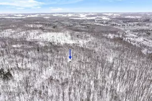 0 W Falmouth Rd, Cadillac, MI 49601 - Photo 8