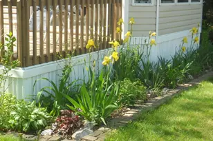 6473 Blue Star Hwy, Saugatuck, MI 49453 - Photo 12