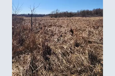 12 Mile Road, Ceresco, MI 49033 - Photo 6