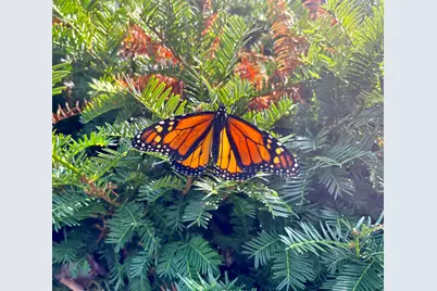 8599 E N Avenue, Kalamazoo, MI 49048 - Photo 26