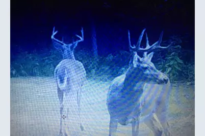 7050 N Poplar Road, Free Soil, MI 49411 - Photo 42