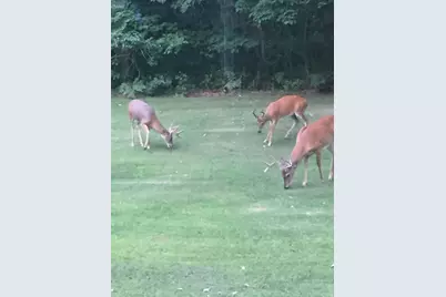 7050 N Poplar Road, Free Soil, MI 49411 - Photo 40