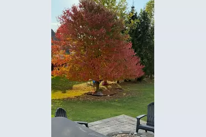 1342 Carston Lane, Chelsea, MI 48118 - Photo 32