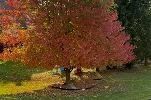 1342 Carston Ln, Chelsea, MI 48118 - Photo 32