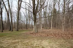 9009 E Main St, Galesburg, MI 49053 - Photo 26