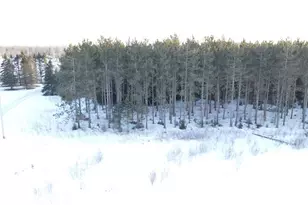 1180 W Miller Rd, Mio, MI 48647 - Photo 22