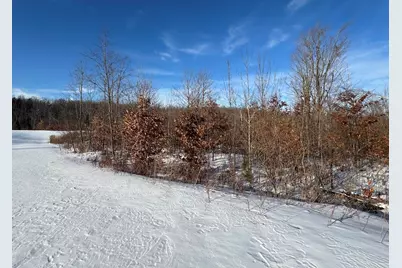 152 Acres W Miller Road, Mio, MI 48647 - Photo 68