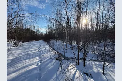 152 Acres W Miller Road, Mio, MI 48647 - Photo 84