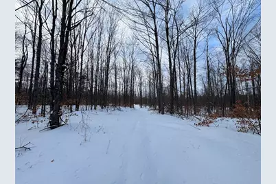 152 Acres W Miller Road, Mio, MI 48647 - Photo 134