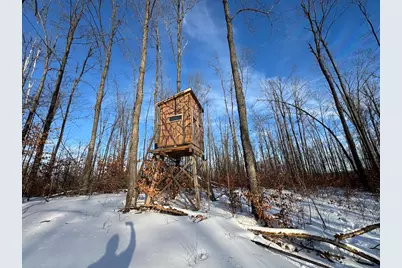 152 Acres W Miller Road, Mio, MI 48647 - Photo 24