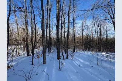 152 Acres W Miller Road, Mio, MI 48647 - Photo 62