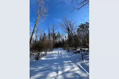 152 Acres W Miller Road, Mio, MI 48647 - Photo 58