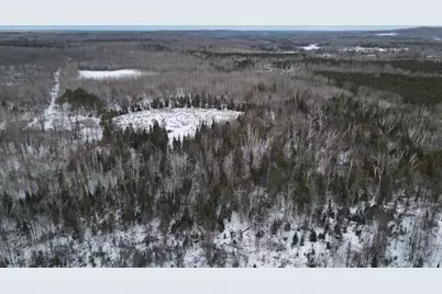 152 Acres W Miller Road, Mio, MI 48647 - Photo 30