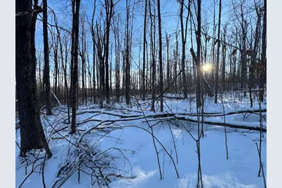 152 Acres W Miller Road, Mio, MI 48647 - Photo 116