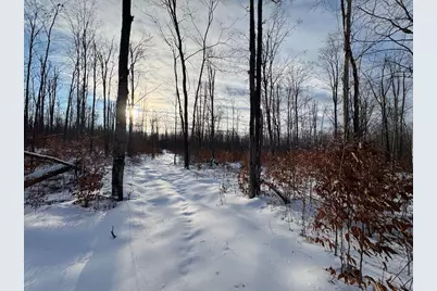 152 Acres W Miller Road, Mio, MI 48647 - Photo 128