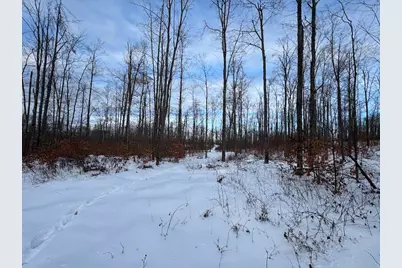 152 Acres W Miller Road, Mio, MI 48647 - Photo 132