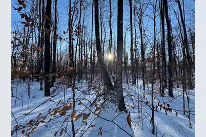 80 Acres Galbrith Road, Mio, MI 48647 - Photo 56